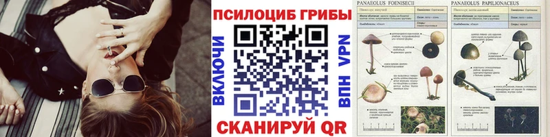 KRAKEN   Серов  Псилоцибиновые грибы прущие грибы 
